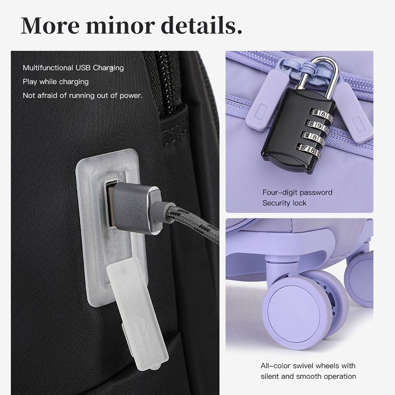 女性用機内持ち込み手荷物、パスワードロック付き20インチ超軽 - Travel Lock Tsa Approved のレビューと価格